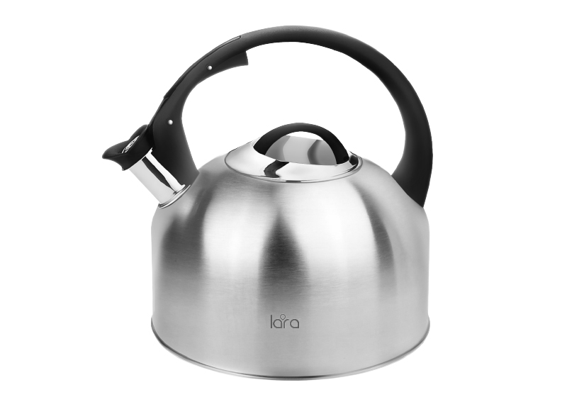 Чайник для плиты LARA LR00-84