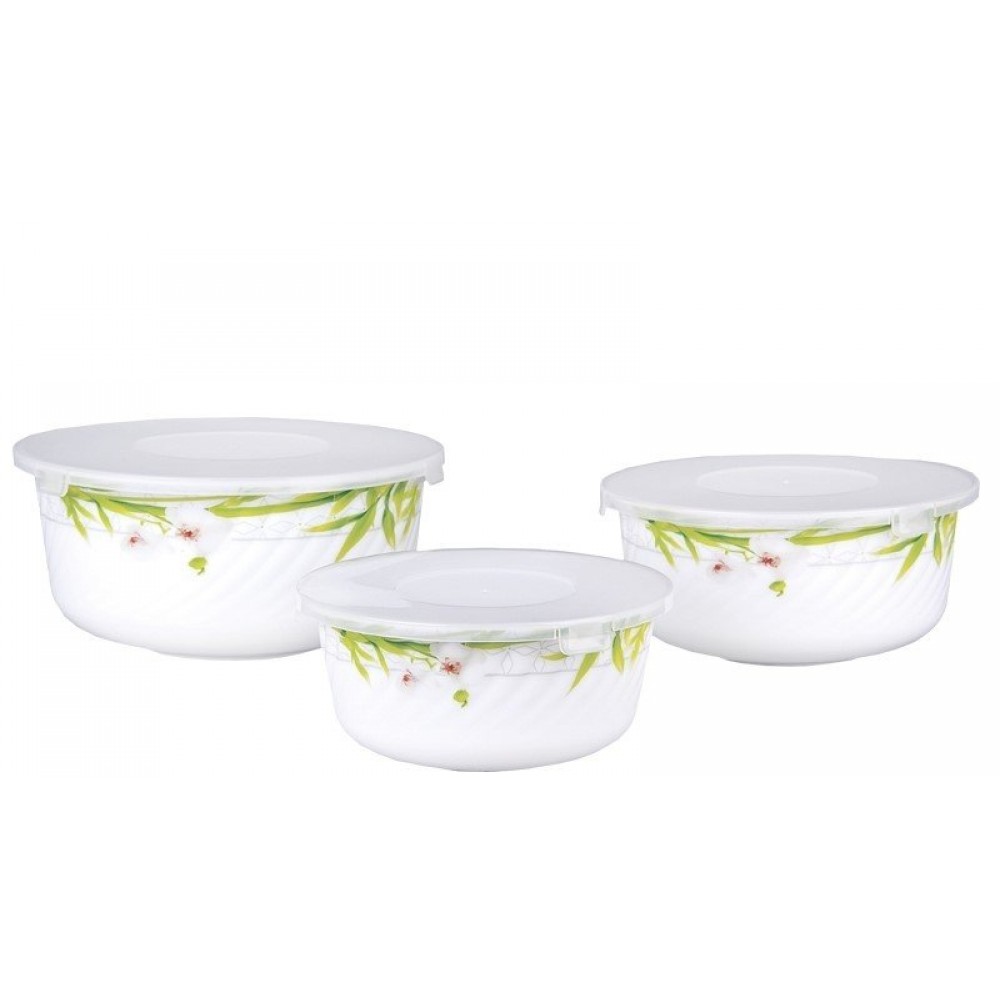 Набор салатников с крышкой 3шт Коралл БамБук HDW-3B